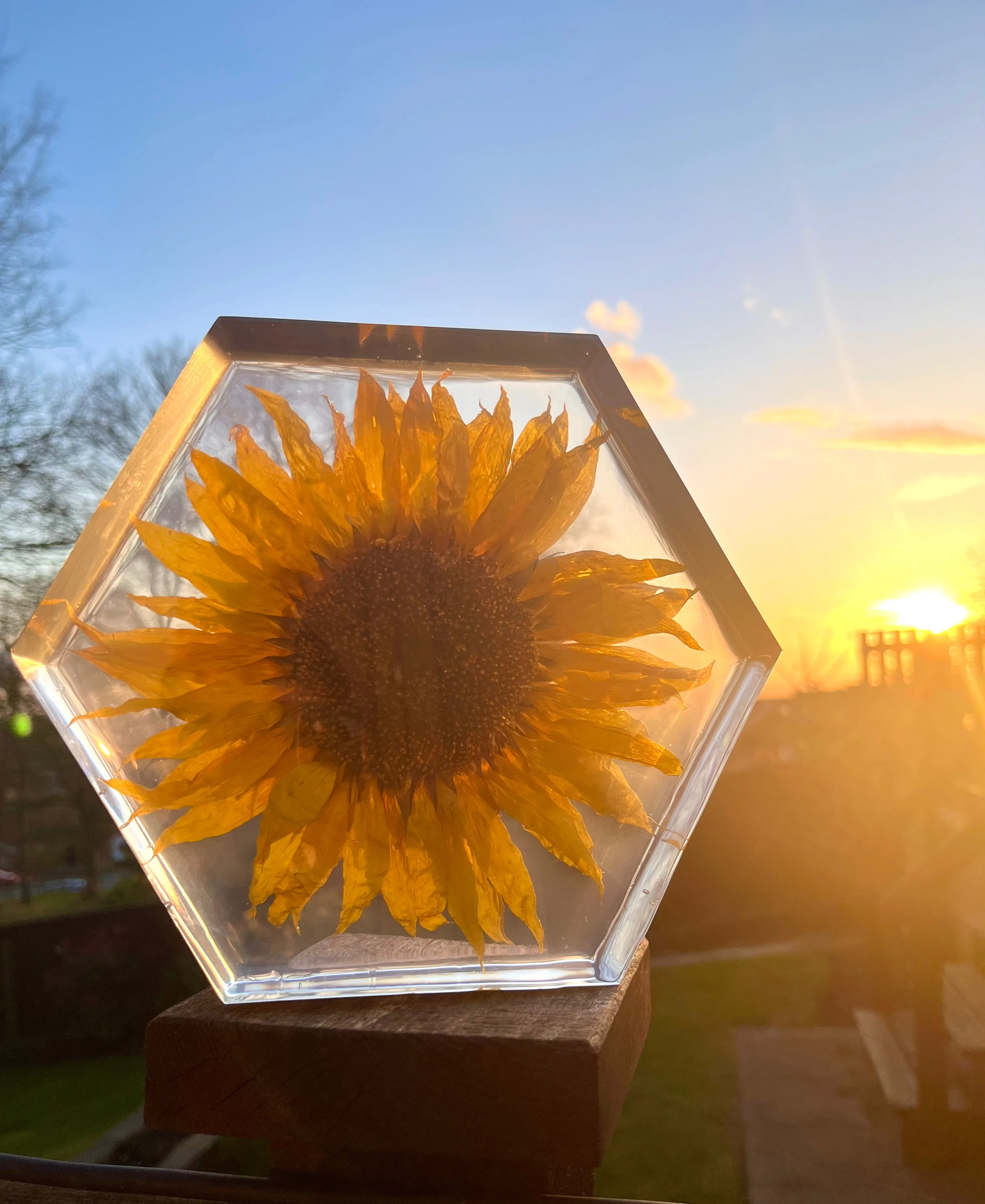 Deep Standing Hexagon Block